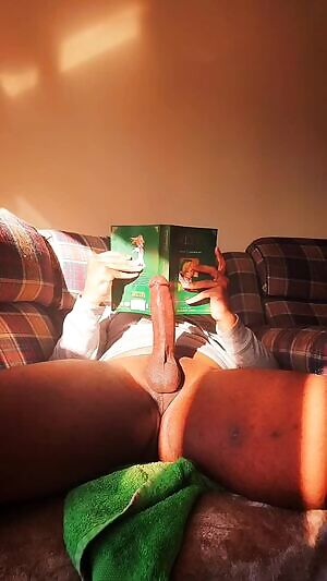 Did you know Legend of Zelda has a manga? It's a good read.