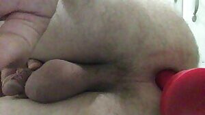 First bd ever s/s rex