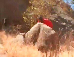 Nina vs 2 BBC Escape Convicts