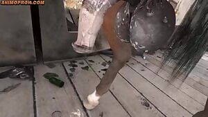 Female POV Horse Blowjob