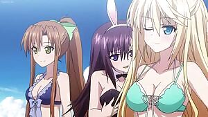 Absolute Duo