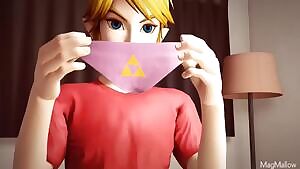 Link Stole Linkle Panties