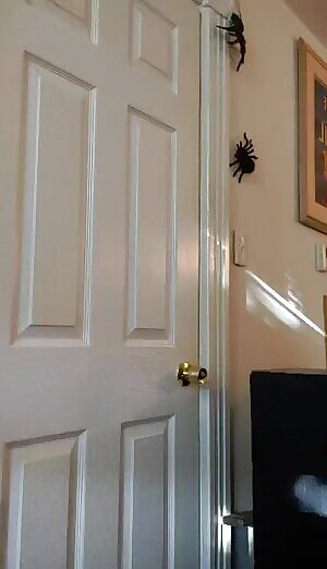 I got a gift that is proving to be very useful