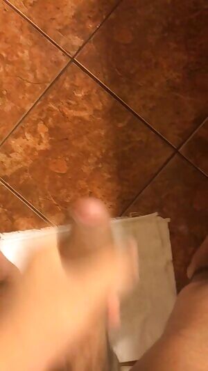 Young bull for snowbunnies in East TX